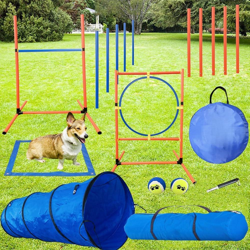 Choosing the Right Space for Your Dogs Adventure