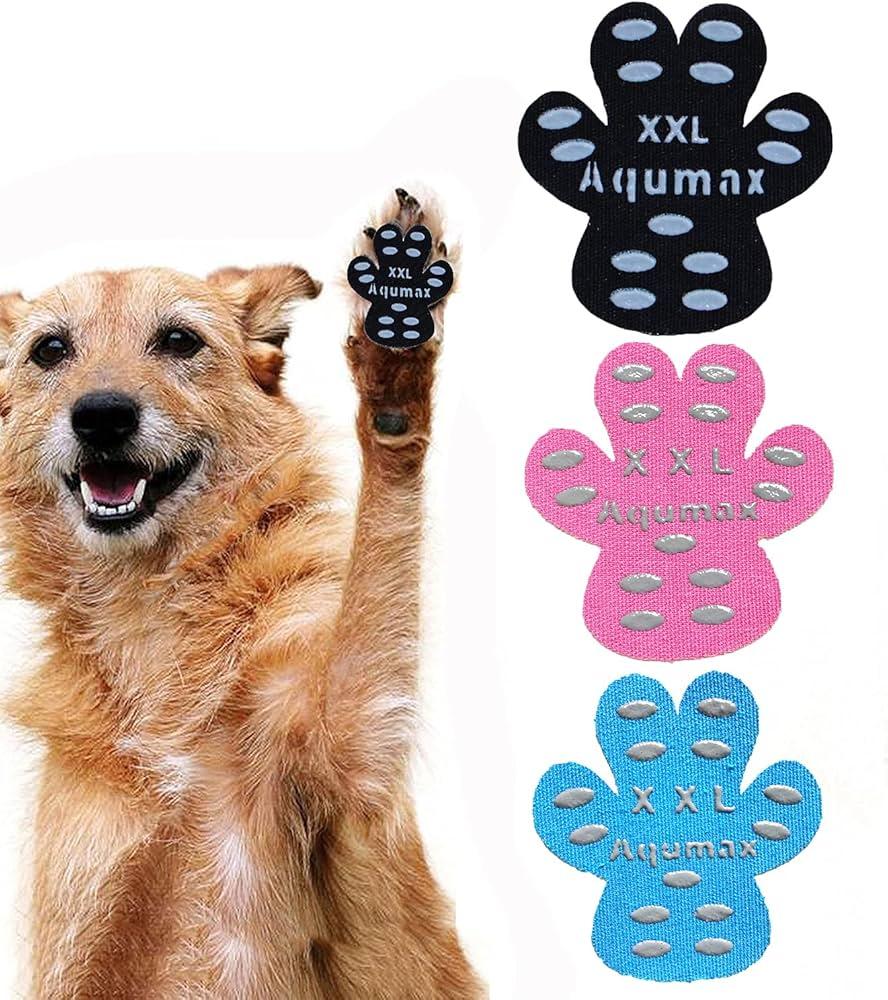 Choosing the Right Paw Protection for Your Furry Friend