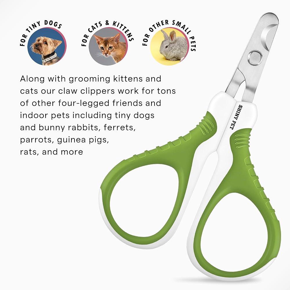 Choosing the Right Nail Clippers for Your Tiny Pup