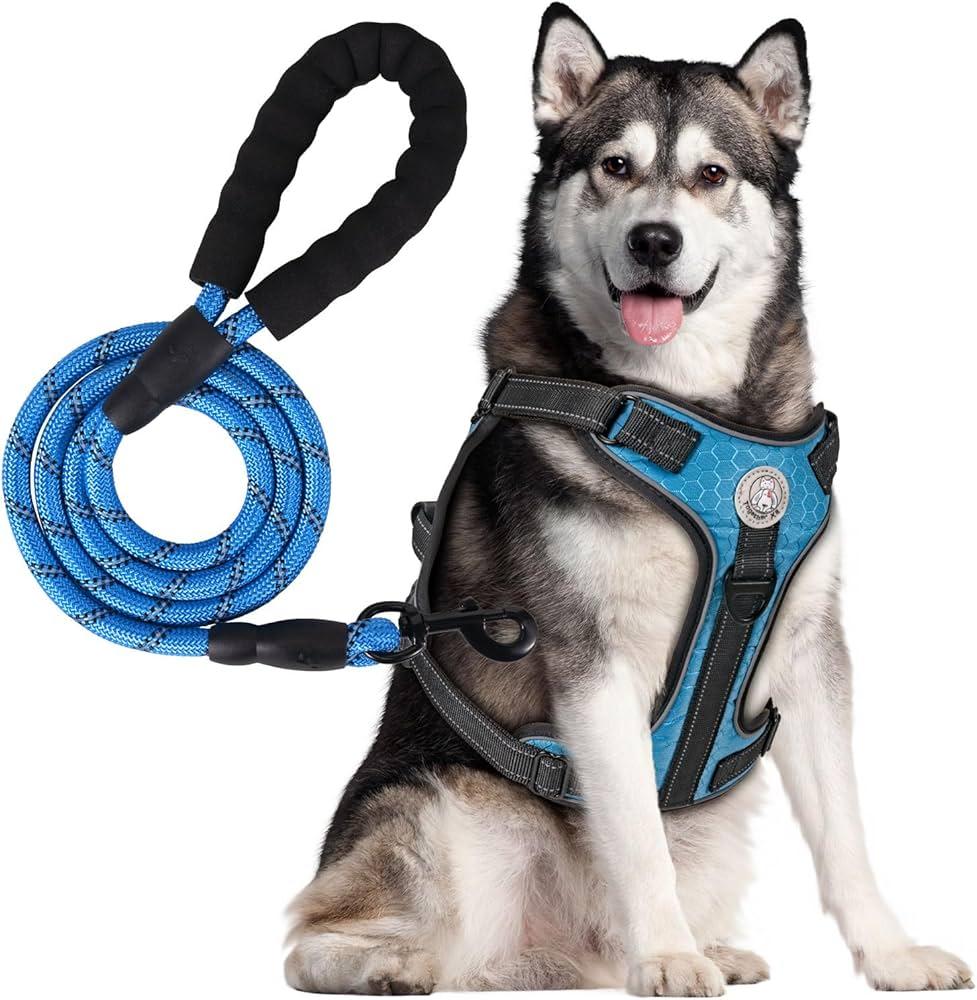 Understanding Your Dogs Needs for a Secure Harness