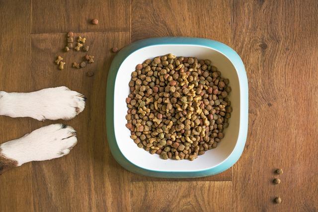 Understanding Canine​ Allergies‍ and Their Dietary Solutions