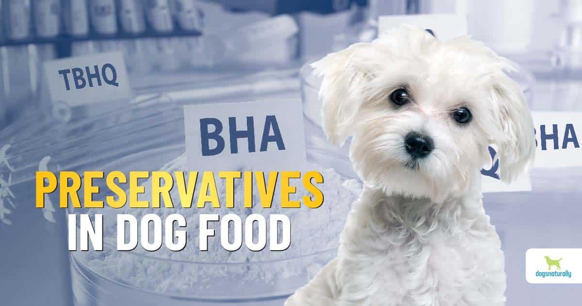 The Truth About Preservatives and Additives