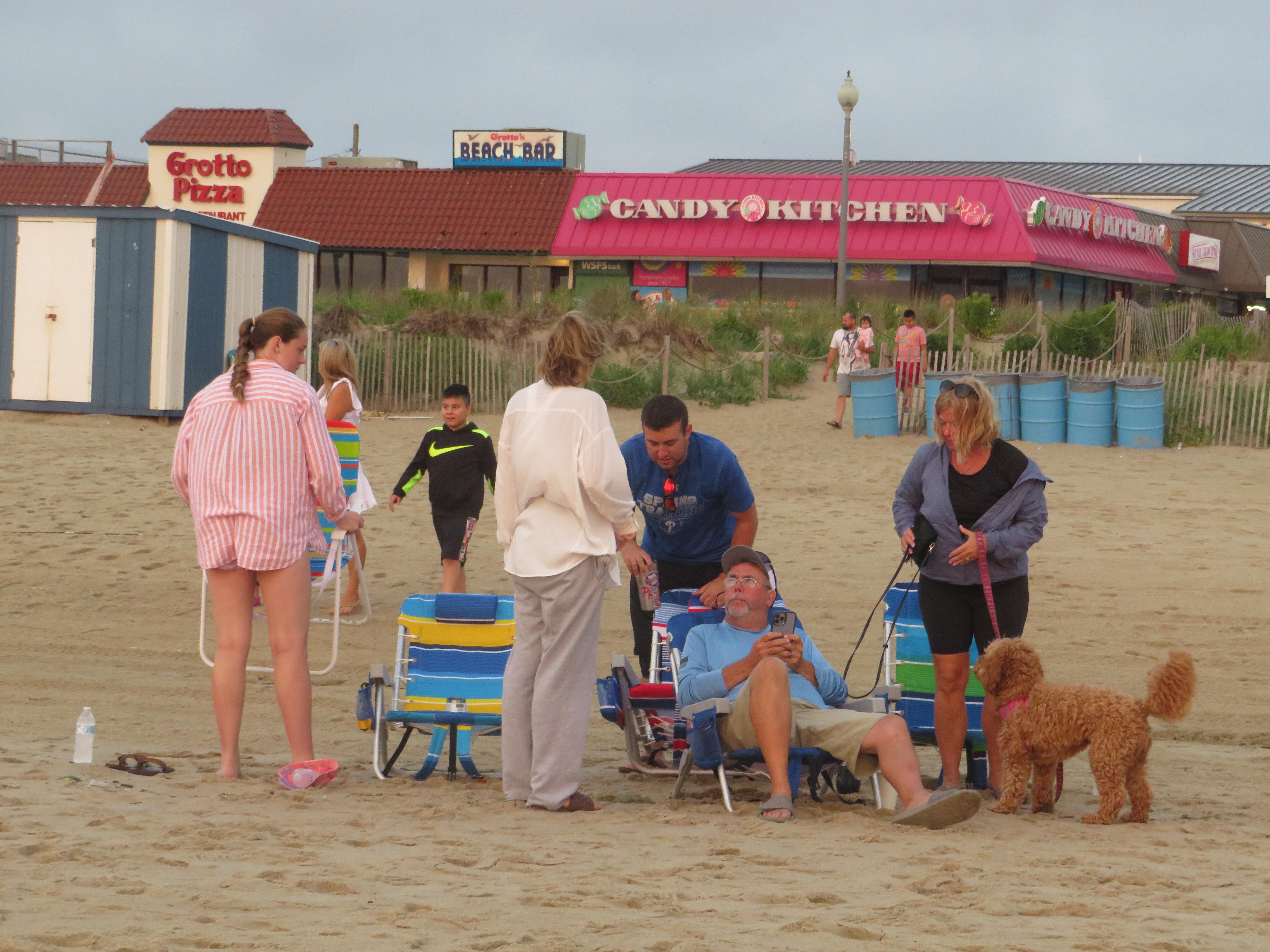 Creating a Safe Haven for Your Furry Friend