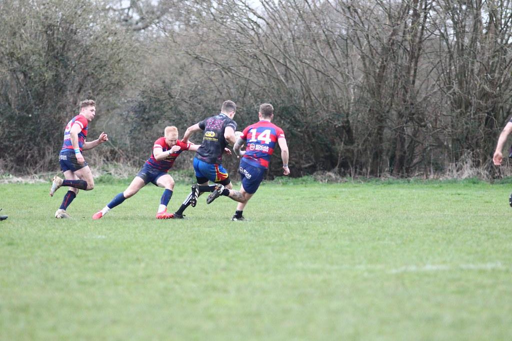 Training Tips for Introducing Your Dog to the Pool