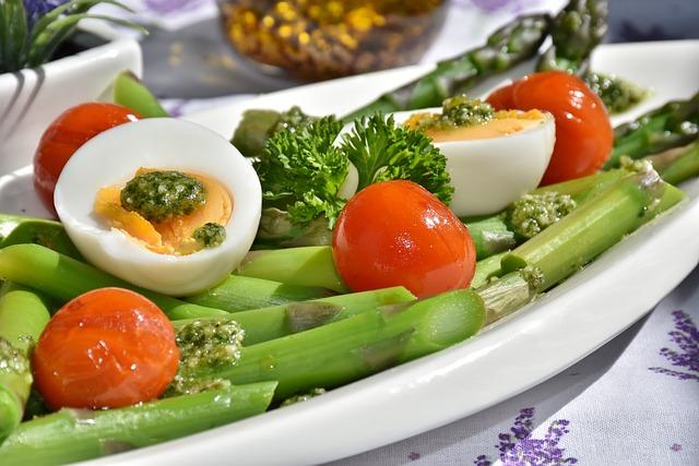 Expert Tips for Transitioning ⁢Your⁢ Dog to a Plant-Based ​Diet