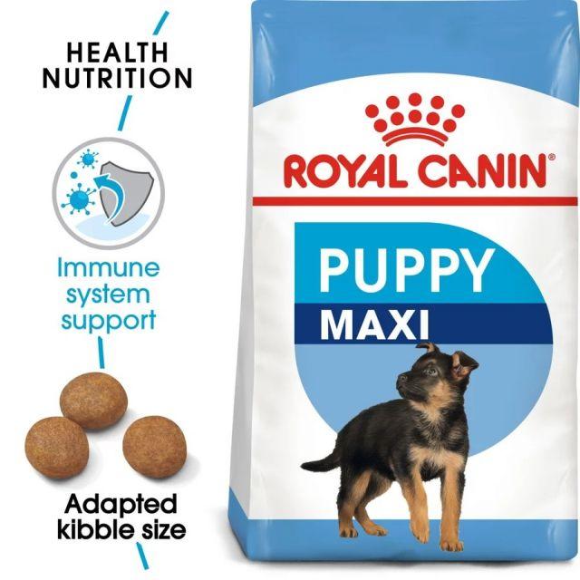 Supplementing with Care: When and How to Use Vitamins and Minerals