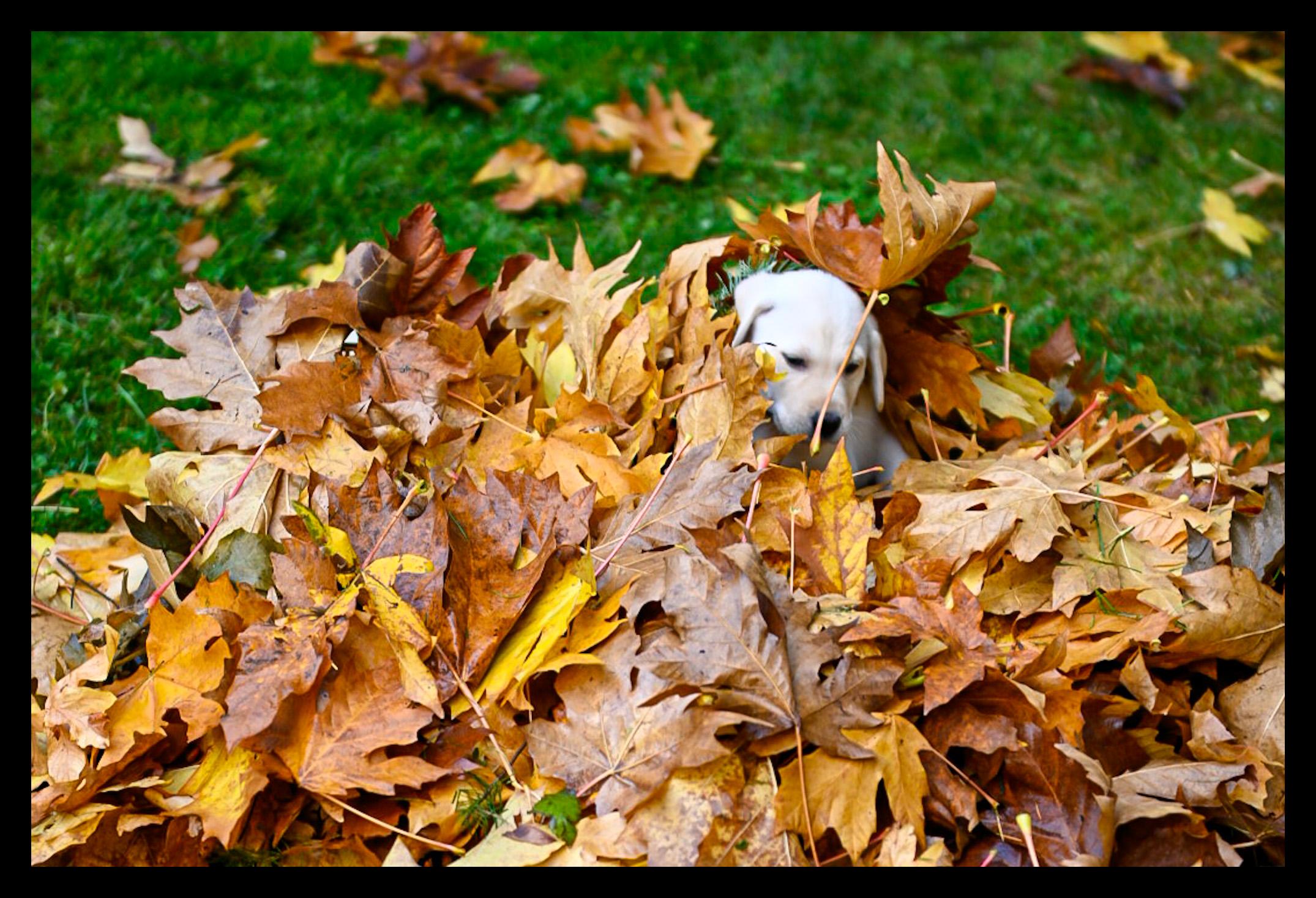 Utilizing Gentle‍ Techniques for Lasting Change