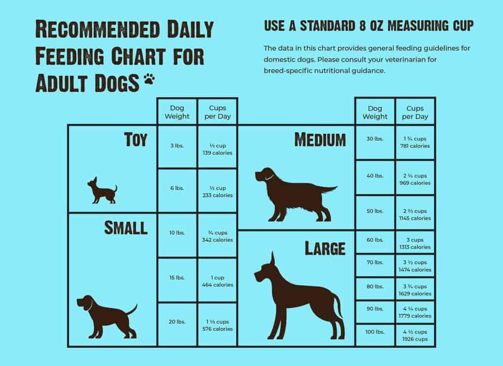 Monitoring and Adjusting Your Dog’s Diet for Optimal Health