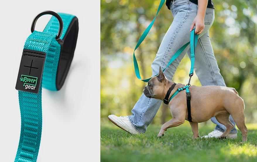 Choosing the Right Gear for Your Furry Friend