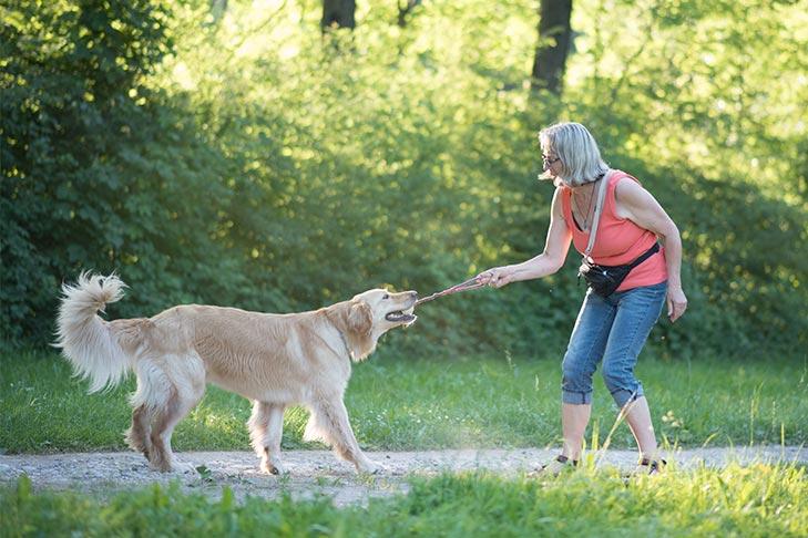 Guiding Your Play Sessions for a Safe and Fun Experience