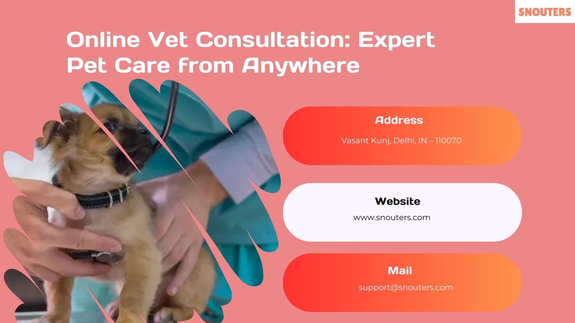 Consulting with Your Veterinarian for Tailored ​Nutritional Advice