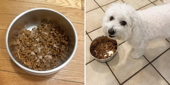 Spotlight ‍on​ Top Brands: Expert-Recommended Dog Foods