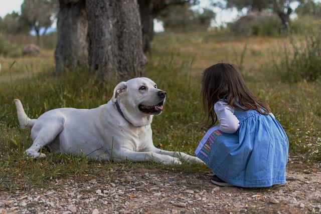 Creating a Safe Environment in Your Yard