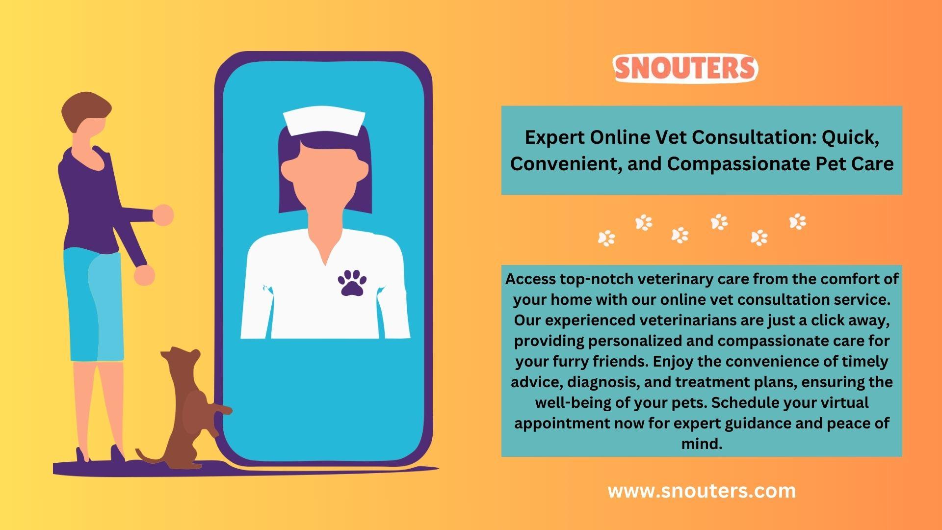 Expert Tips for Preparing Your Dog for a Vet Appointment