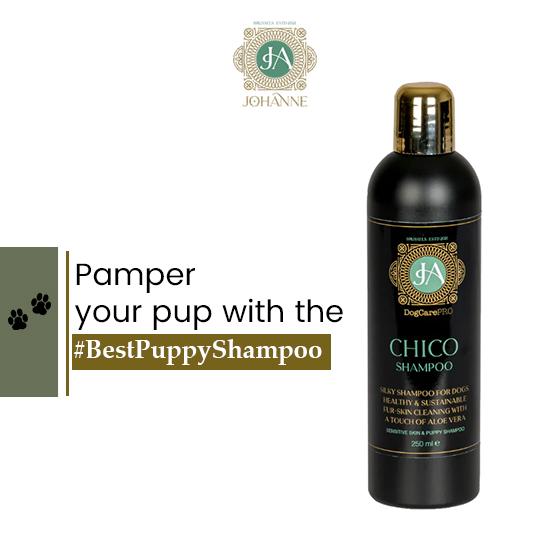 Choosing Gentle Ingredients for Your Pups Delicate Skin