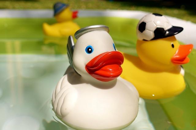 The Science of Sound: How Squeaks Stimulate Your Dogs Senses