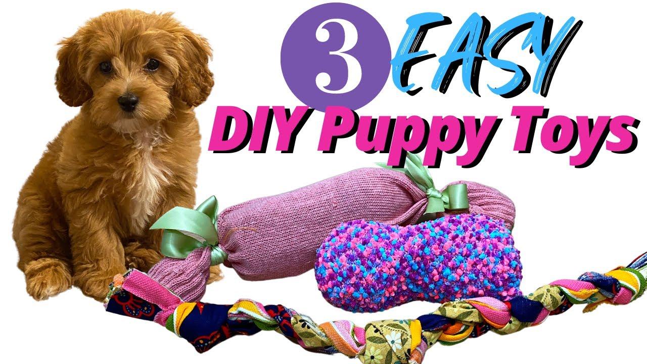 DIY Toy Ideas to Spark Your Dogs Interest