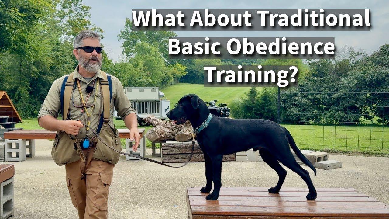 Understanding the Core⁤ Principles of Traditional Obedience⁤ Training