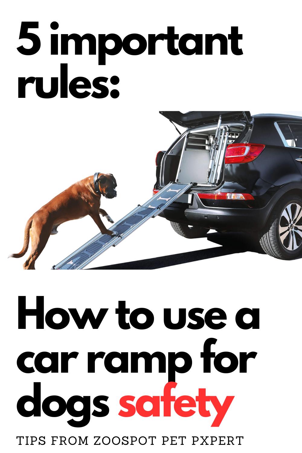 Creating a Safe Car Environment for Your Furry Friend