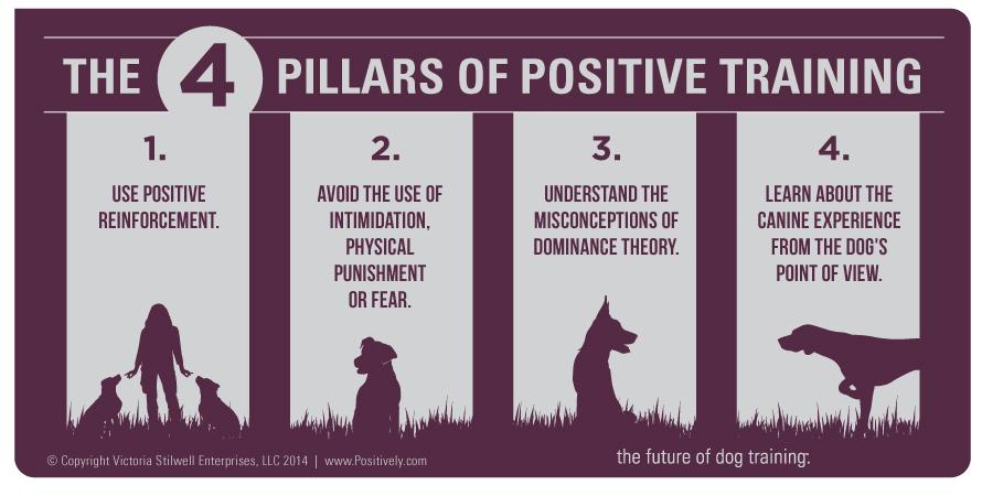 Incorporating Positive ⁤Reinforcement and Consistency in Training