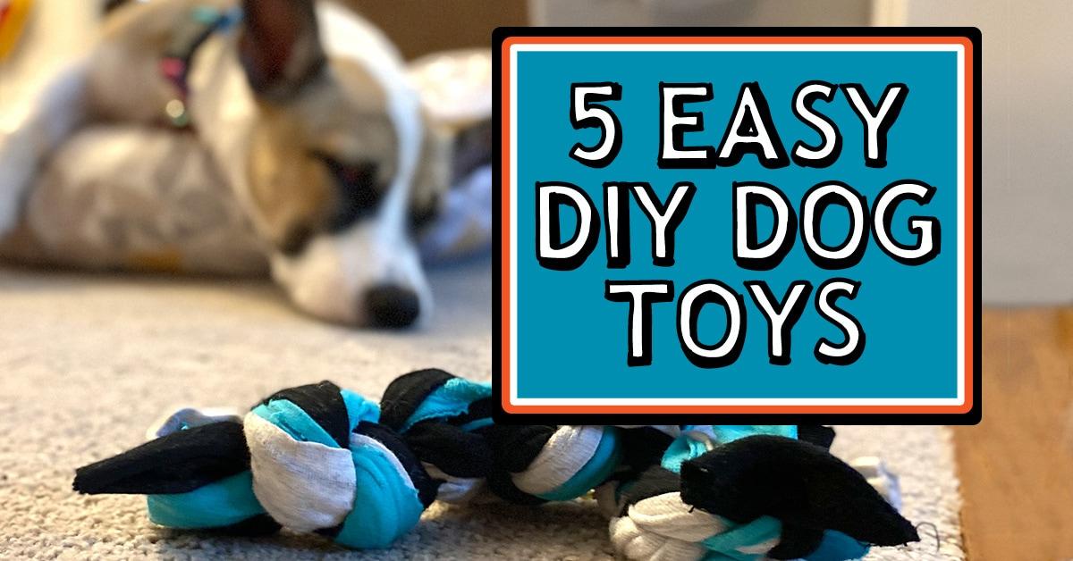 DIY Toy-Making: Crafting Personalized Fun for Your Dog