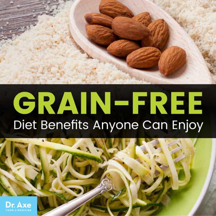 Expert Recommendations for Choosing a Balanced Diet for Your Dog