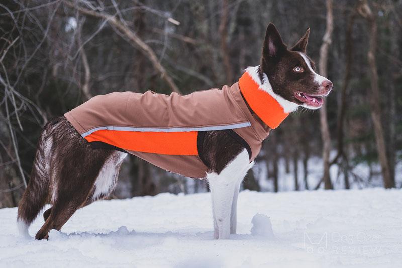 Choosing the Right Gear to Keep Your Dog Warm