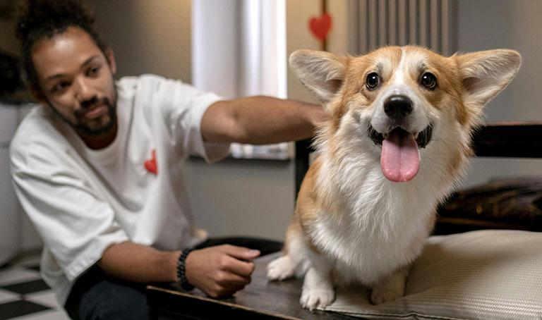Understanding Your Dogs Fears