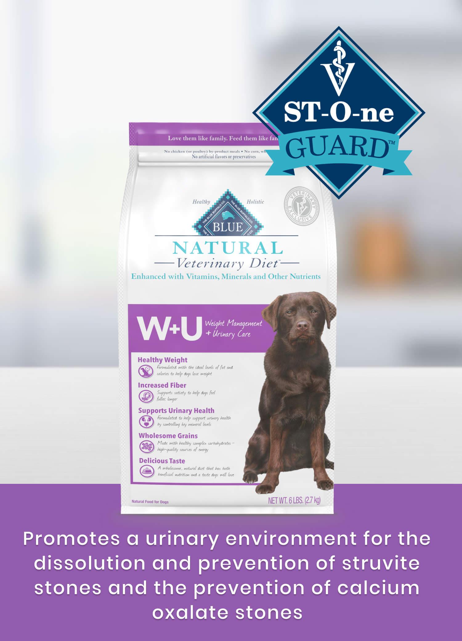 Foods to Include in Your Dogs Diet for Optimal Urinary Function
