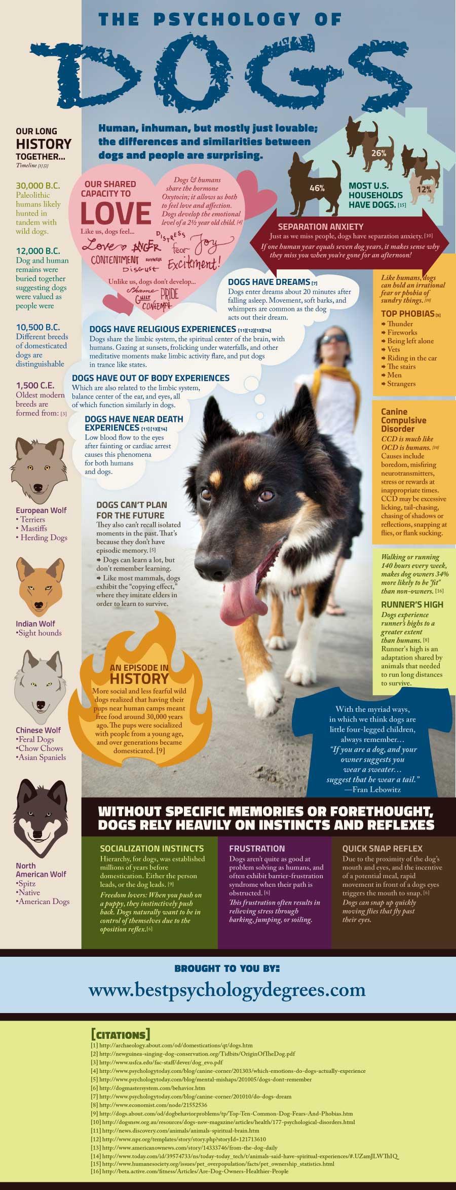 Understanding Canine⁢ Psychology ⁣for Compassionate Training