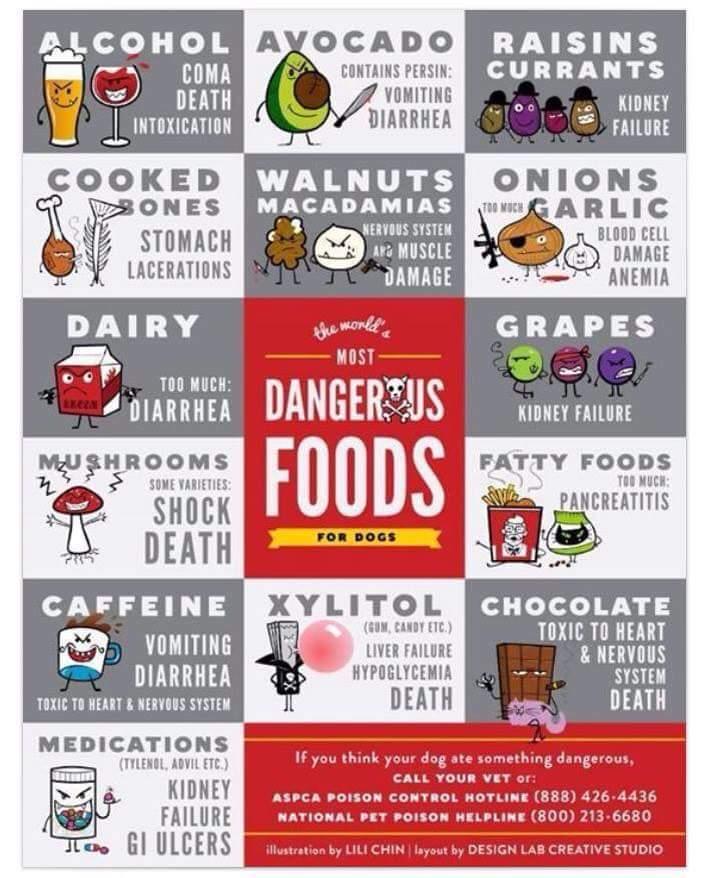 Tips for Preventing Accidental Ingestion and Emergencies