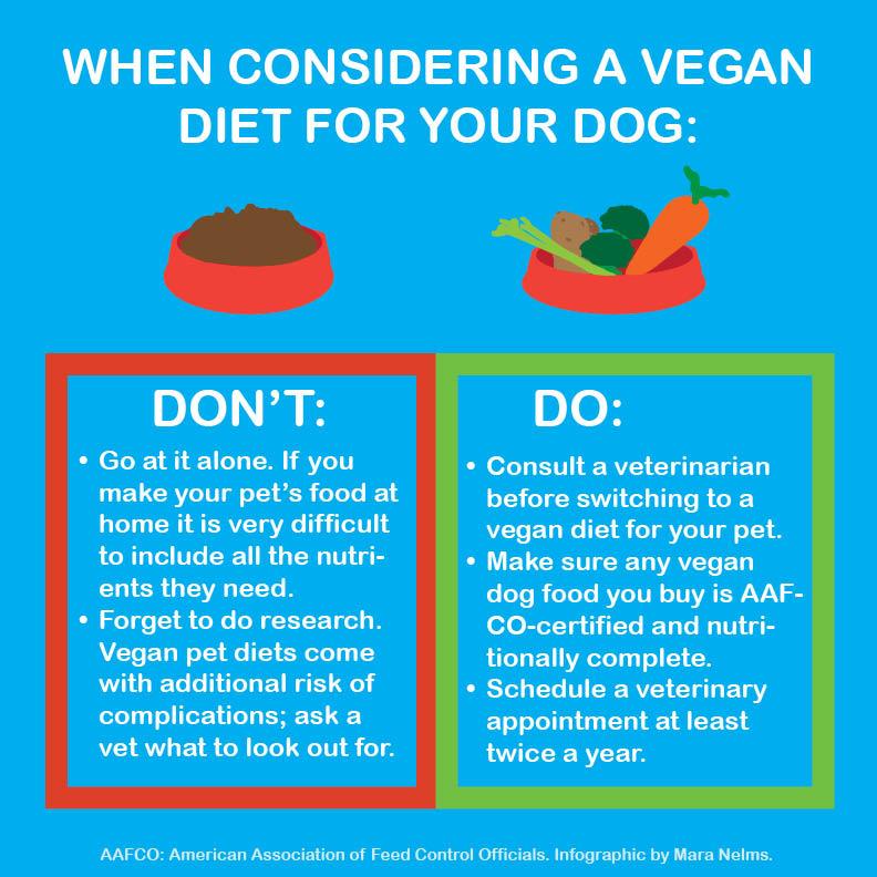 Consulting Veterinarians ‌for Personalized Advice